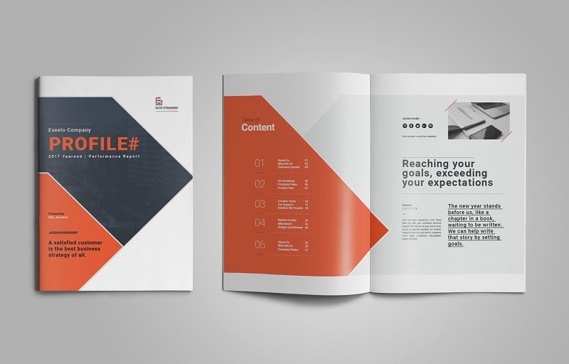 Viet Company Profile 5 1