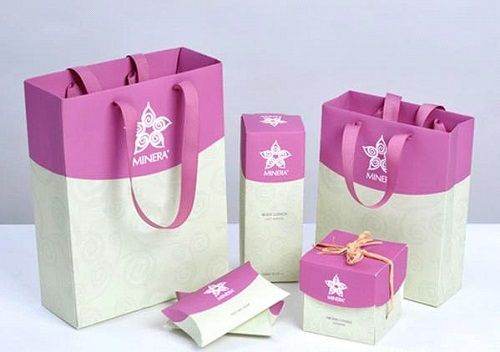 thiết kế túi giấy theo bộ nhận diện thương hiệu